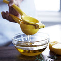 Aluminum Lemon Press